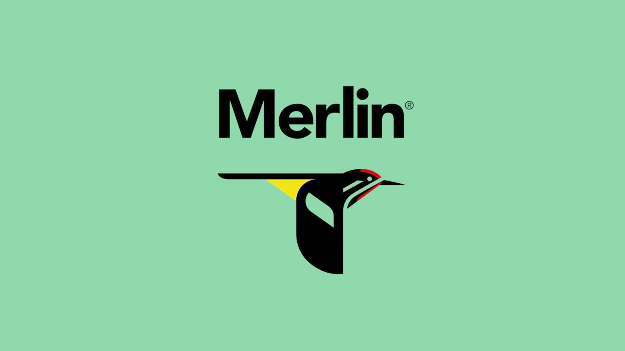 Merlin Bird ID